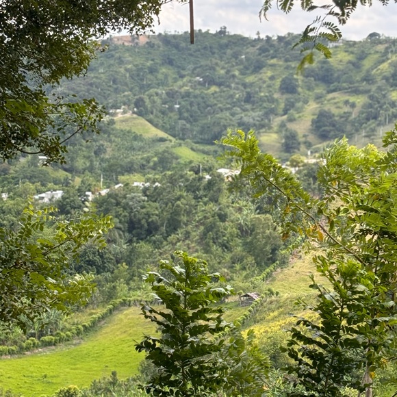 SHARE 💕🛍Posher, 💋Adriana Gault💋 - Picture 7 of 8